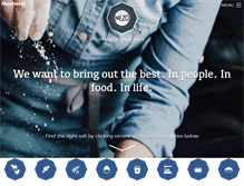 Tablet Screenshot of nezo.com